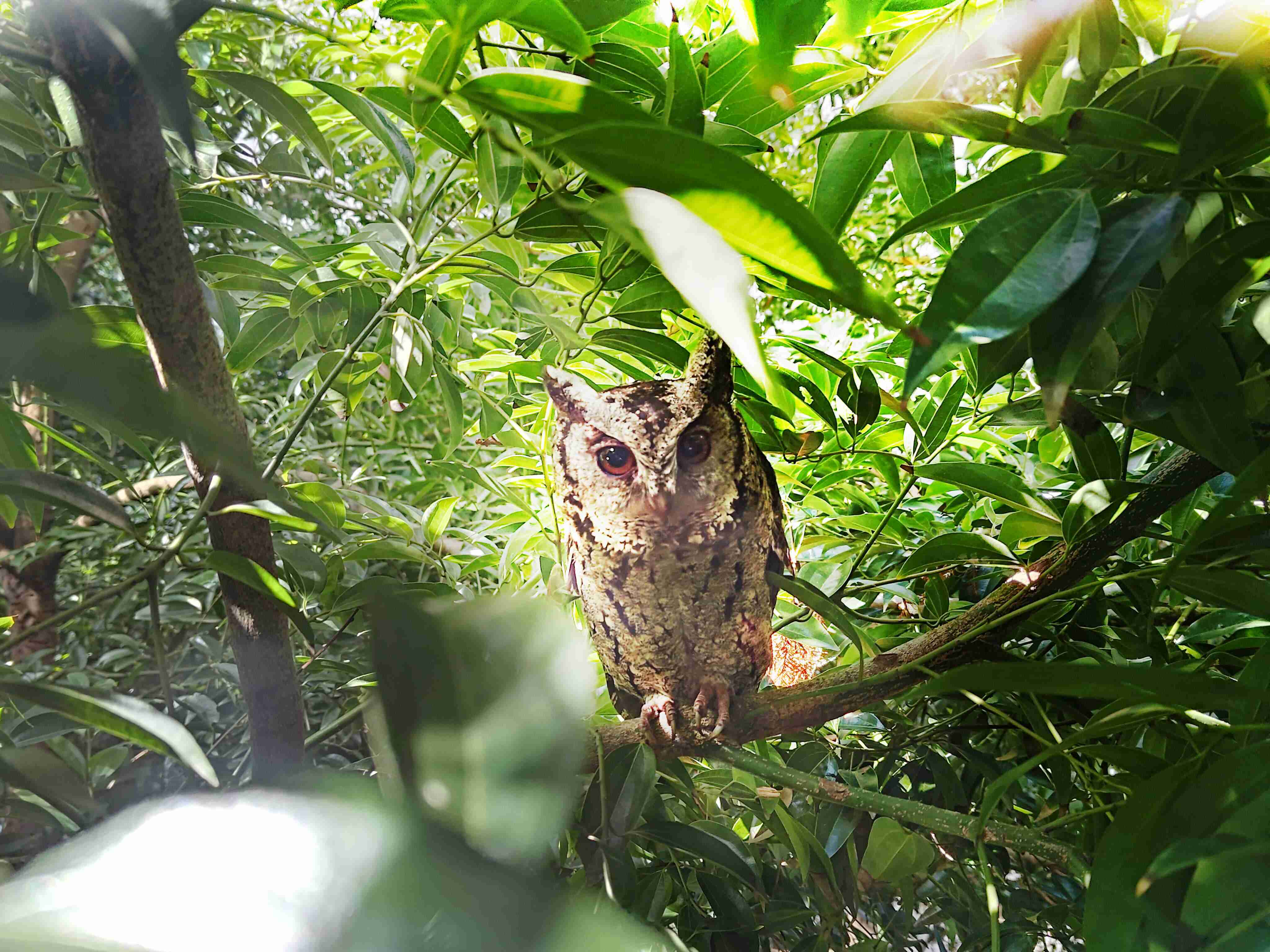优游UB8致力提倡净零绿生活，，，16年以来在全球各厂区植树逾百万棵，，造就各厂区树木蔚然成林，，犹如森林工厂，，成为许多生物的栖息地